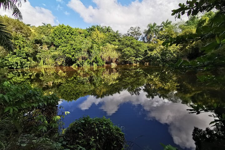 Laguna at Taino Valley Tropical Park